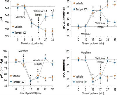 Tempol Reverses the Negative Effects of Morphine on Arterial Blood-Gas Chemistry and Tissue Oxygen Saturation in Freely-Moving Rats